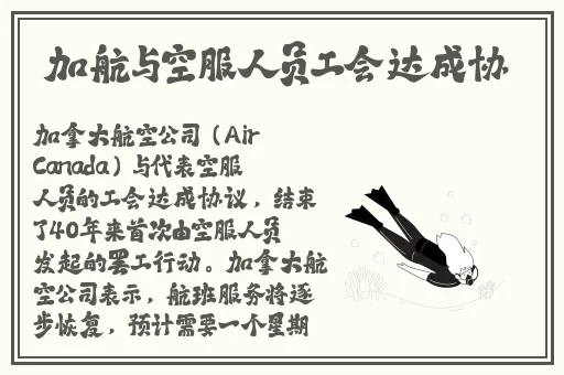 yellow日本高清在线